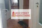 Dvosoban stan, Beograd, Stepa Stepanović, izdavanje, 50m2, 500e, id1398791