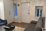 Jednosoban stan, Beograd, Botanička bašta, izdavanje, 20m2, 400e, id1399932