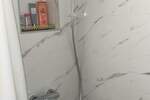 Jednosoban stan, Beograd, Botanička bašta, izdavanje, 20m2, 400e, id1399932