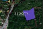 Plac, Irig, Vrdnik, prodaja, 3200m2, 165000e, id1399967