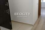 Poslovni prostor / Lokal, Beograd, Blok 22, izdavanje, 40m2, 400e, id1399977