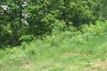 Plac, Beograd, Rušanj, prodaja, 10267m2, 50000e, id1400491
