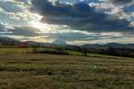 Kuca, Boljevac, Bačevica, prodaja, 54m2, 55000e, id1151609