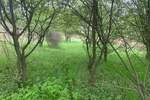 Plac, Beograd, prodaja, 3358m2, 35000e, id1400495