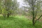 Plac, Beograd, prodaja, 3358m2, 35000e, id1400495