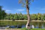 Apartman, Sombor, Bezdan, prodaja, 44m2, 39500e, id1400516