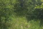 Plac, Alibunar, prodaja, 2000m2, 32000e, id1400581