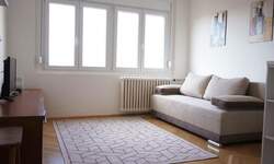 Jednosoban stan, Beograd, Vracar, izdavanje, 24m2, 480e, id1400929