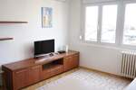 Jednosoban stan, Beograd, Vracar, izdavanje, 24m2, 480e, id1400929