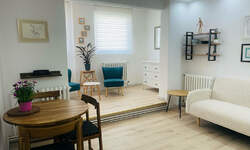 Dvosoban stan, Beograd, Dorcol, izdavanje, 44m2, 600e, id1400931