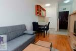 Jednosoban stan, Beograd, Rvati, izdavanje, 29m2, 320e, id1367747