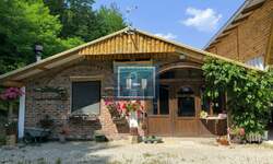 Poslovni prostor / Lokal, Despotovac, Panjevac, prodaja, 250m2, 190000e, id1400959