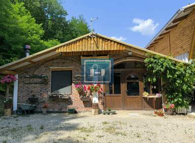 Poslovni prostor / Lokal, Despotovac, Panjevac, prodaja, 250m2, 190000e, id1400959