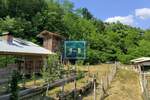 Poslovni prostor / Lokal, Despotovac, Panjevac, prodaja, 250m2, 190000e, id1400959