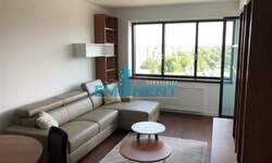 Dvosoban stan, Beograd, Blok 67a, A Blok, izdavanje, 48m2, 850e, id792605