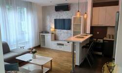 Dvosoban stan, Beograd, Dedinje, izdavanje, 55m2, 900e, id1400982