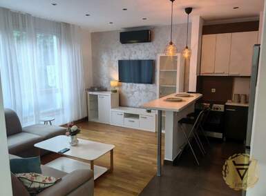 Dvosoban stan, Beograd, Dedinje, izdavanje, 55m2, 900e, id1400982