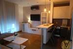 Dvosoban stan, Beograd, Dedinje, izdavanje, 55m2, 900e, id1400982