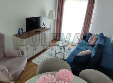Jednosoban stan, Kragujevac, Bubanj, izdavanje, 36m2, 350e, id1401035