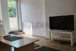 Dvosoban stan, Niš, Pravni fakultet, izdavanje, 51m2, 300e, id1401616