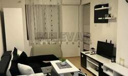Jednoiposoban stan, Niš, Pantelej(Niš), izdavanje, 31m2, 220e, id1402120