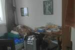 Trosoban stan, Beograd, Zemun Polje, prodaja, 49m2, 85000e, id1402636