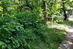 Kuca, Sokobanja, Šarbanovac, prodaja, 71m2, 12500e, id967286