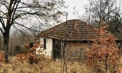 Kuca, Gadzin Han, Duga Poljana, prodaja, 35m2, 17000e, id1403159