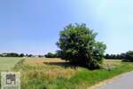 Plac, Beograd, Belo Polje, prodaja, 0m2, 345000e, id1403160