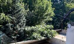Dvosoban stan, Beograd, Banjica, prodaja, 55m2, 160000e, id1403166