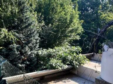Dvosoban stan, Beograd, Banjica, prodaja, 55m2, 155000e, id1403166