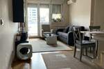 Dvosoban stan, Beograd, Mašinski fakultet, izdavanje, 40m2, 700e, id1403174