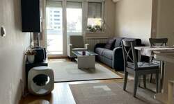 Dvosoban stan, Beograd, Mašinski fakultet, izdavanje, 40m2, 700e, id1403174