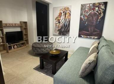 Dvosoban stan, Novi Sad, Centar, izdavanje, 41m2, 300e, id1403188