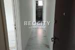 Dvosoban stan, Beograd, Zemun (novi Grad), izdavanje, 45m2, 500e, id1403197