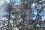 Dvosoban stan, Beograd, Karaburma, prodaja, 52m2, 131888e, id1395450