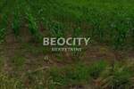 Plac, Beograd, Ralja, prodaja, 5900m2, 102000e, id1403560