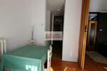 Jednoiposoban stan, Beograd, Filmski Grad, izdavanje, 45m2, 330e, id1403611