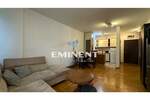 Dvosoban stan, Beograd, Blok 63, izdavanje, 50m2, 550e, id1300860