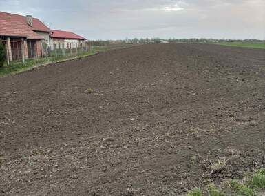 Plac, Vrbas, prodaja, 11000m2, 99000e, id1403683