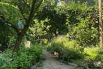 Kuca, Beograd, Banovo Brdo, prodaja, 200m2, 620000e, id1396007