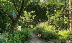 Kuca, Beograd, Banovo Brdo, prodaja, 200m2, 620000e, id1396007