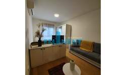Jednosoban stan, Beograd, Šumice, izdavanje, 30m2, 500e, id786080