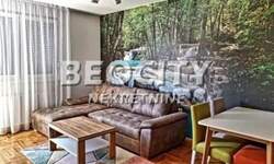 Dvosoban stan, Novi Sad, Petrovaradin, izdavanje, 45m2, 300e, id1404248