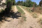 Plac, Golubac, prodaja, 1300m2, 23000e, id1404816