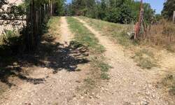 Plac, Golubac, prodaja, 1300m2, 23000e, id1404816