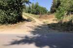 Plac, Golubac, prodaja, 1300m2, 23000e, id1404816
