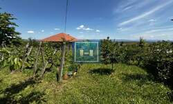 Plac, Jagodina, prodaja, 0m2, 14900e, id1354989