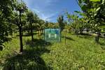 Plac, Jagodina, prodaja, 0m2, 14900e, id1354989