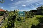 Plac, Jagodina, prodaja, 0m2, 14900e, id1354989